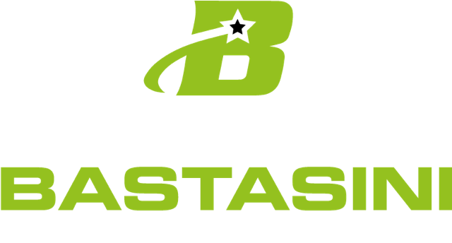 Bastasini Logistica
